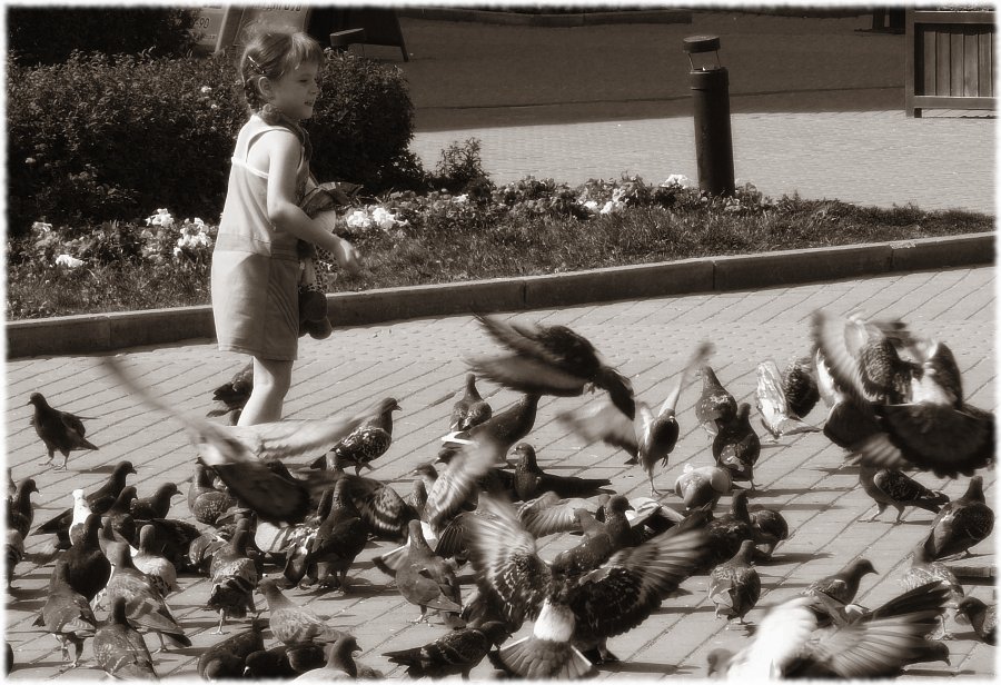 Предводитель пернатых